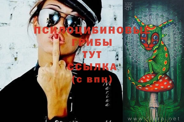 герыч Володарск