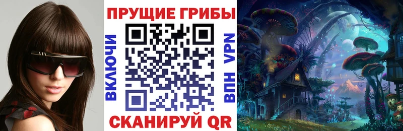 МЕГА онион  магазин    Елец  Галлюциногенные грибы мицелий 